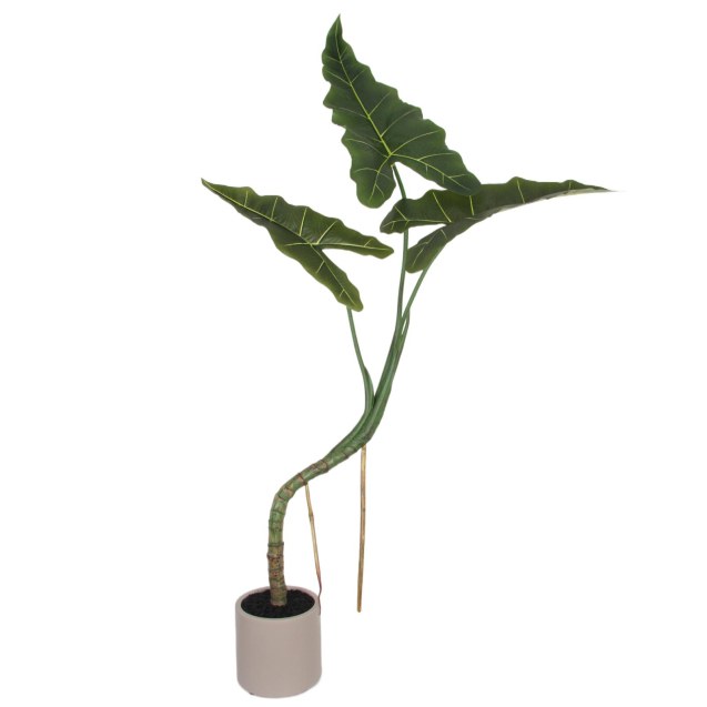 Supergreens Τεχνητό Φυτό Αλοκάσια "Veloura"...