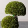 Supergreens UV Τεχνητό Δέντρο Μπονσάι Moss ''Mushroom'' Τριπλό Πράσινο 70 εκ.