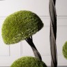 Supergreens UV Τεχνητό Δέντρο Μπονσάι Moss ''Mushroom'' Πενταπλό Πράσινο 180 εκ.