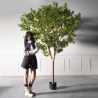 Supergreens Τεχνητό Δέντρο Πορτοκαλιά ''Natural'' Πορτοκαλί 280 εκ.
