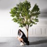 Supergreens Τεχνητό Δέντρο Λεμονιά ''Natural'' Κίτρινη 280 εκ.