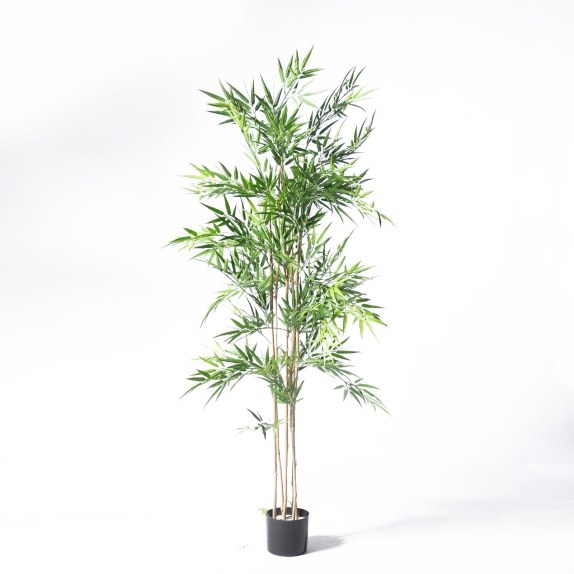 Supergreens UV Τεχνητό Δέντρο Μπαμπού ''Lucky' Πράσινο...