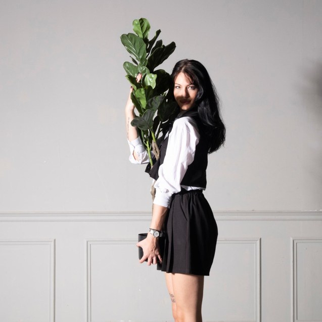 Supergreens UV+FR Τεχνητό Δέντρο Φίκος Λυράτα...