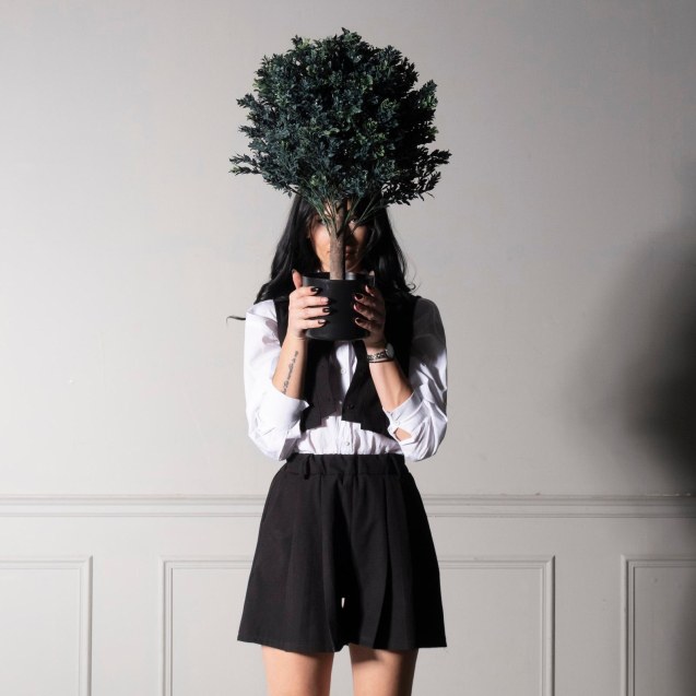 Supergreens UV Τεχνητό Φυτό Πύξος Πράσινο 60 εκ.