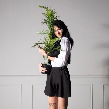 Supergreens UV Τεχνητό Δέντρο Φοίνικας Πράσινο 100 εκ.