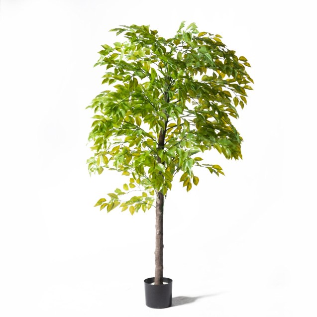 Supergreens UV Τεχνητό Δέντρο Φίκος Πράσινο 120...