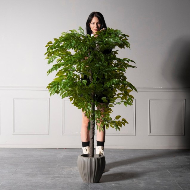 Supergreens UV Τεχνητό Δέντρο Φίκος Πράσινο 120...