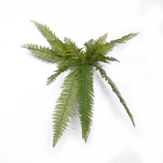 Supergreens Τεχνητή Χωνευτή Φτέρη ''Bushy''...