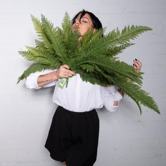 Supergreens Τεχνητή Χωνευτή Φτέρη ''Bushy''...