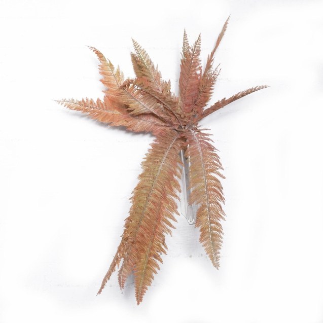 Supergreens Τεχνητή Χωνευτή Φτέρη ''Bushy''...