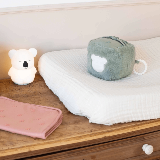 Κάλυμμα Βιβλιαρίου Υγείας Σάπιο Μήλο - HONEY &...