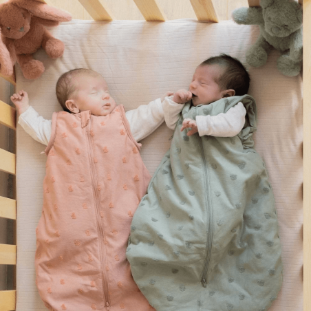 Υπνόσακος TOG 2.5 με Αφαιρούμενα Μανίκια 0-6 Μηνών Σάπιο Μήλο - HONEY & HOP - Trois Kilos Sept