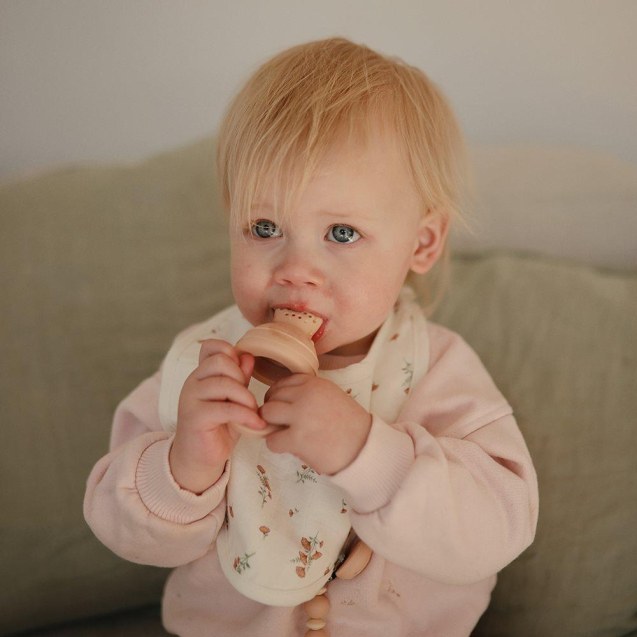 Σετ 2 Τροφοδότες Φαγητού Σιλικόνης Blush - Mushie