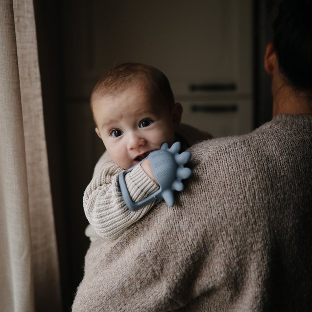 Μασητικό Σιλικόνης με Χερούλι Dino - Mushie