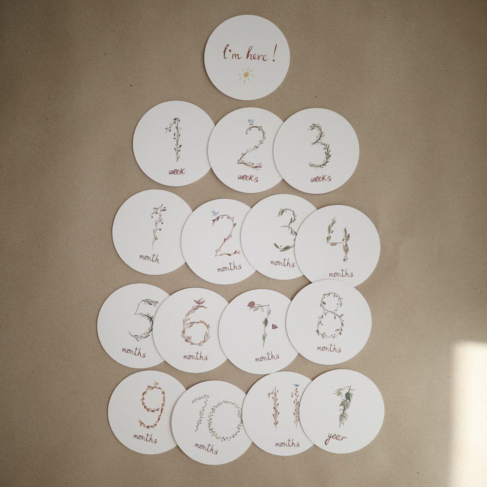 Κάρτες Αναμνήσεων Milestone Cards - Mushie