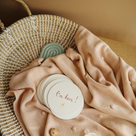 Κάρτες Αναμνήσεων Milestone Cards - Mushie