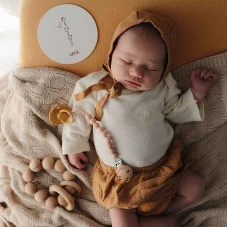 Κάρτες Αναμνήσεων Milestone Cards - Mushie