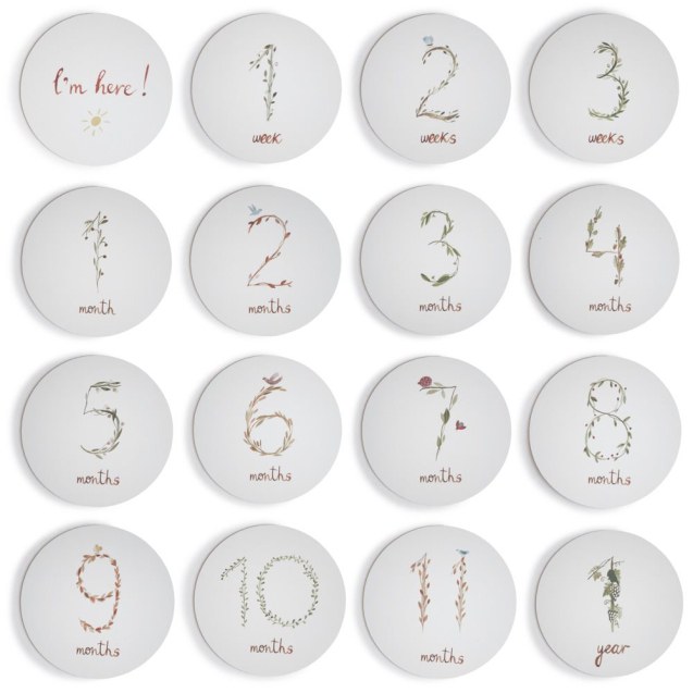 Κάρτες Αναμνήσεων Milestone Cards - Mushie