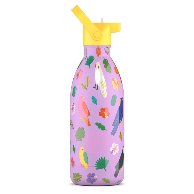 Ανοξείδωτο Μπουκάλι Cool Bottles Fly Free 500ml...