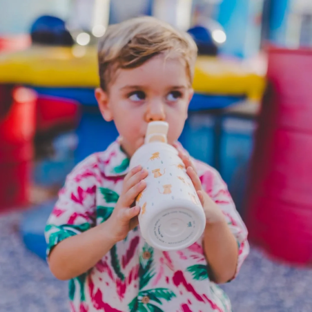 Ανοξείδωτο Μπουκάλι Cool Bottles Γατούλες 350ml CB305157