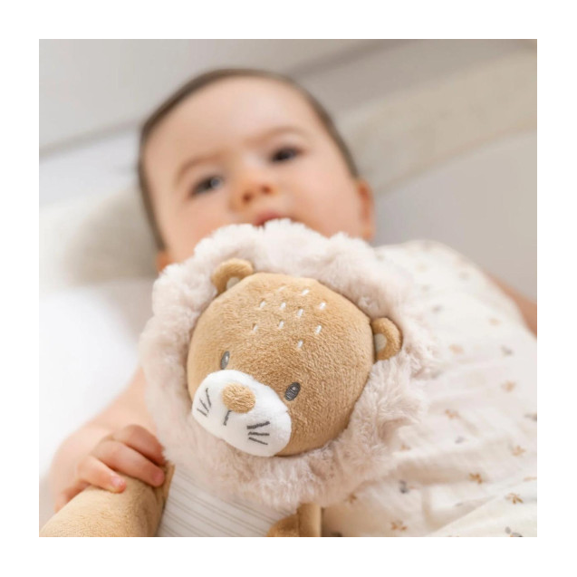 Λούτρινο Λιονταράκι Nattou Flo, Ernest & Oli...