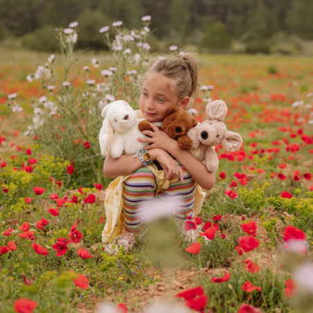 Υφασμάτινο Κουνελάκι Bon Ton Toys Eco Robbert Μπεζ 29 εκ.