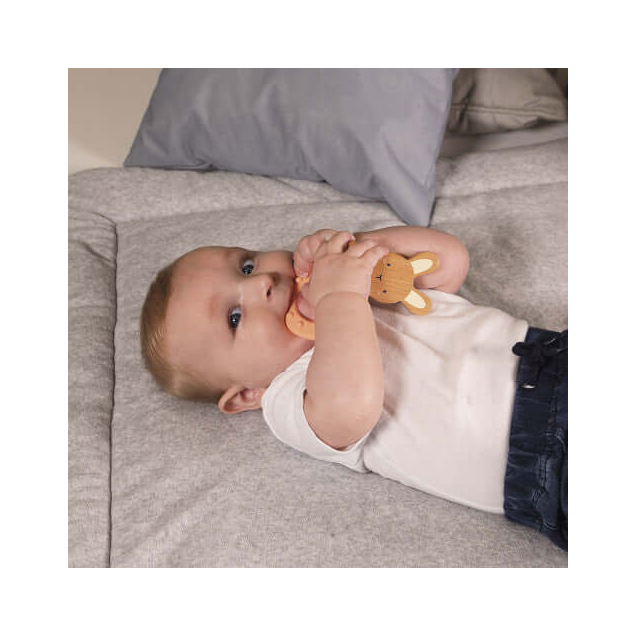 Κρίκος Οδοντοφυϊας Home Κουνελάκι KA969922