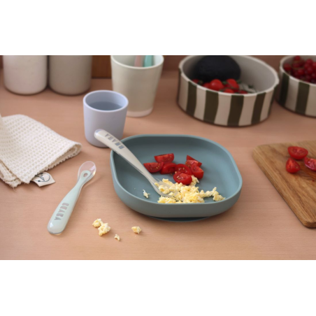 Σετ 2 Τεμαχίων Κουτάλια Σιλικόνης Beaba Με Κουτί Μεταφοράς 1st age Clay/Misty Green BR79842