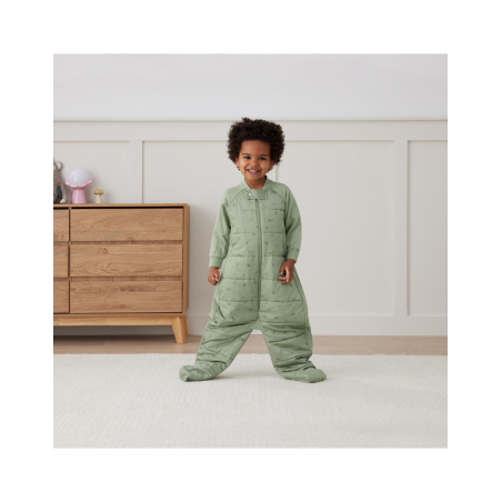 Βρεφικός Υπνόσακος ErgoPouch Sleep Suit Willow ΜΜ 2.5 Tog 3-12m BR77850