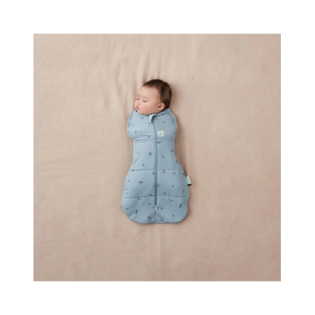 Βρεφικός Υπνόσακος ErgoPouch Cocoon Tog 2.5 size 3-6m Dragonflies BR78845