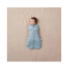 Βρεφικός Υπνόσακος ErgoPouch Cocoon Tog 2.5 size 3-6m Dragonflies BR78845