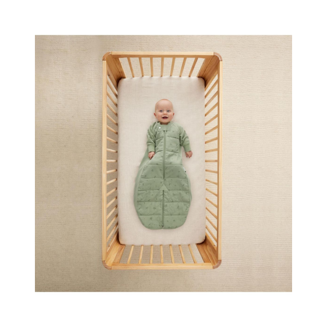 Βρεφικός Υπνόσακος ErgoPouch Sleep Suit Willow...