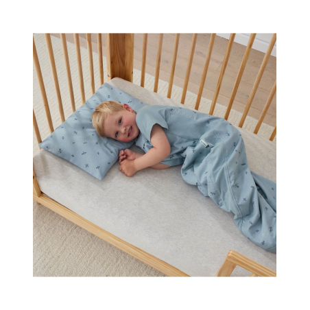 Βρεφικό Μαξιλάρι και Μαξιλαροθήκη από Οργανικό Βαμβάκι Dragonflies ErgoPouch BR77873