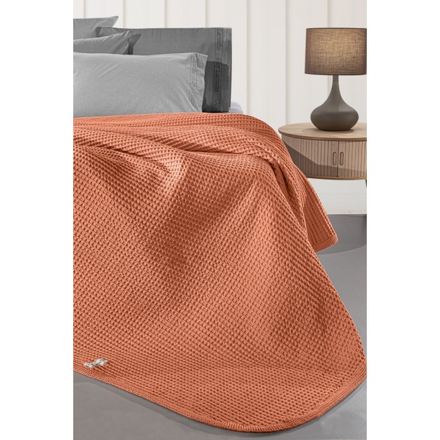 Κουβέρτα Μονή Guy Laroche Eternity Terra 160x240