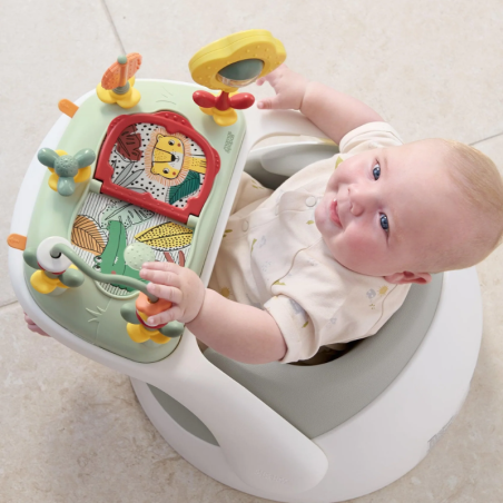 Βρεφικό Κάθισμα Mamas & Papas Snug & Δίσκος Δραστηριότητας Pebble 22180348
