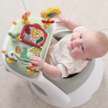 Βρεφικό Κάθισμα Mamas & Papas Snug & Δίσκος Δραστηριότητας Pebble 22180348