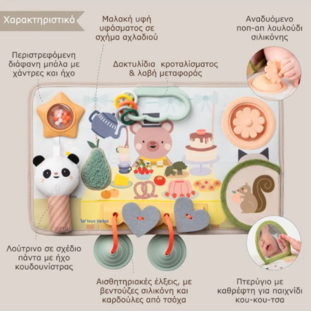 Ταμπλό Δραστηριοτήτων Taf Toys T-13845
