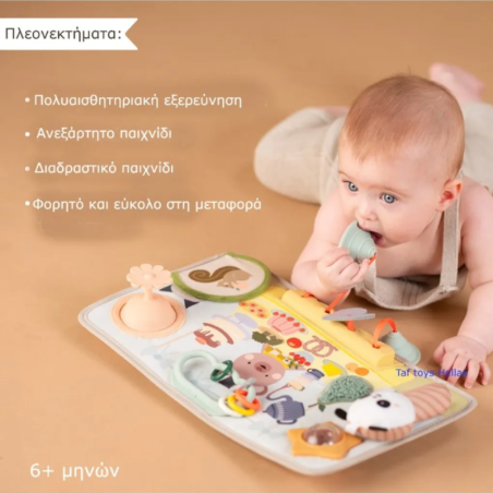 Ταμπλό Δραστηριοτήτων Taf Toys T-13845