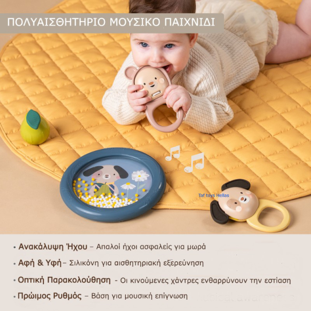 Σετ Μουσικής Ανακάλυψης Taf Toys T-13875