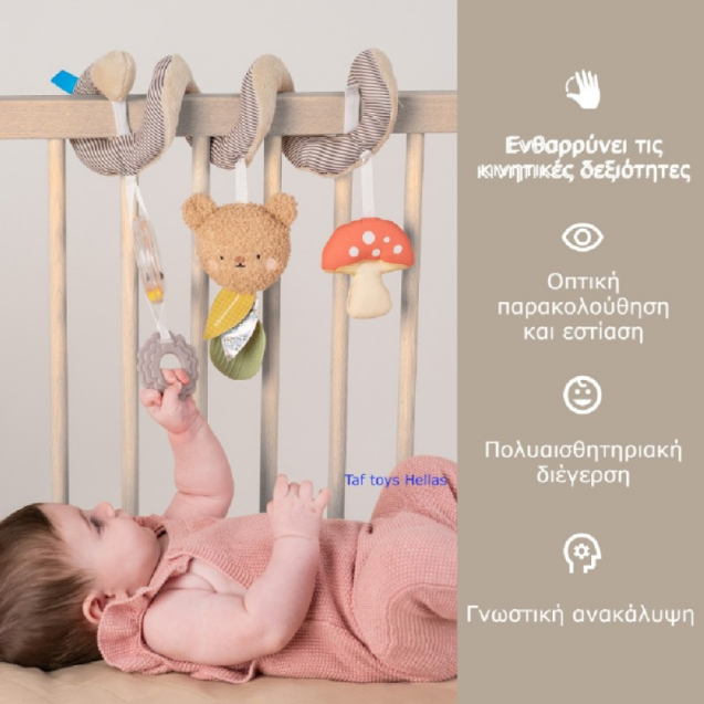 Σπιράλ Δραστηριοτήτων Taf Toys Bear Hug Spiral...