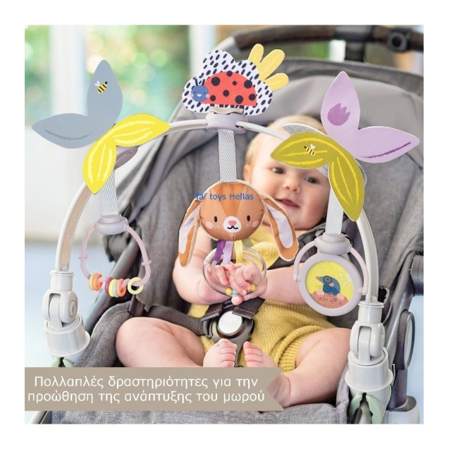 Μπάρα Δραστηριοτήτων Taf Toys Grow with me...