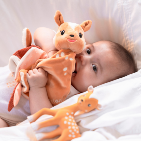 Πανάκι Παρηγοριάς Με Θέση Για Πιπίλα Sophie The Giraffe Ελαφάκι S850807
