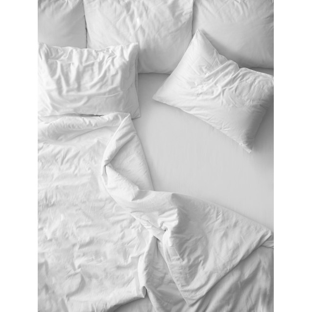 Σεντόνι SUITE 50 Βαμβ- – 50 Πολ- 160...