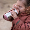 Μπουκάλι Θερμός Beaba Ανοξείδωτο Με Λαβή 350ml + 18μ Old pink BR79141