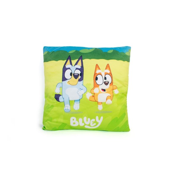 Βελούδινο Μαξιλάρι BBC Studios Bluey 09 38x38 Green