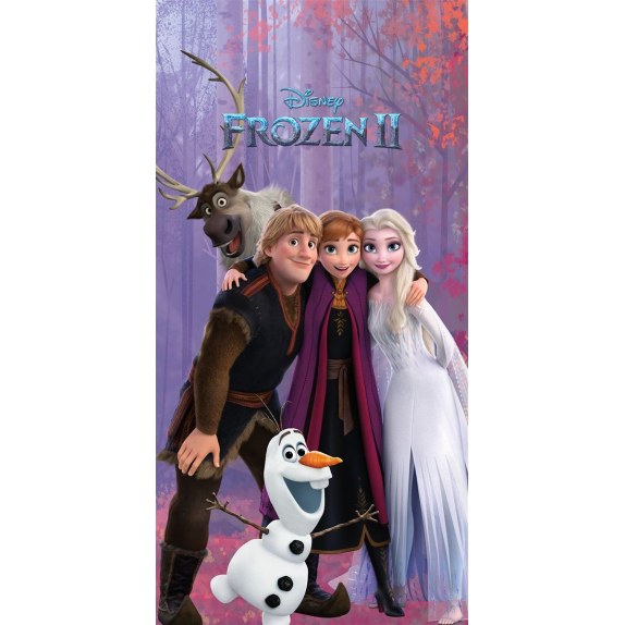 Παιδική Πετσέτα Θαλάσσης Quick Dry Disney Home Frozen 707...