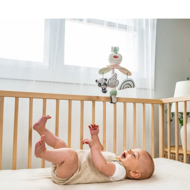 Μουσικό Mobile Tiny Love Take Along Black &...