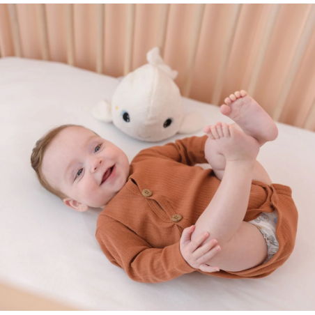 Φωτάκι Νυκτός Με Ήχους Pabobo Beluga Whale White BR77333