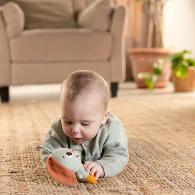Παιχνίδι Tiny Love Smart Bunny Garken Of...