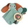 Παιχνίδι Tiny Love Σετ Δώρου Πανάκι Παιχνίδι Garden Of Adventures BR78592